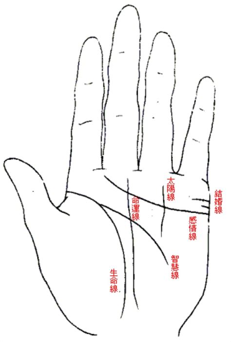 手相雜亂|【手相館】掌紋 (生命線、感情線、智慧線、婚姻線、太陽線、火。